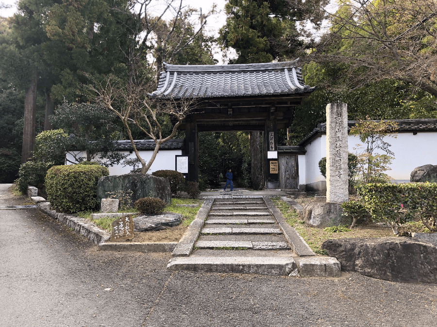 デビットボーイが愛した正伝寺