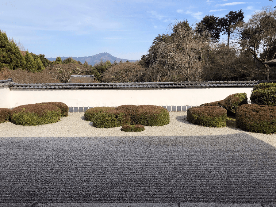 デビットボーイが愛した正伝寺